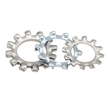 External Tooth Lock Washers